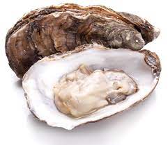 Fresh Oysters Main Image